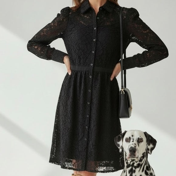 Rachel Parcell Black Lace Long Sleeve Dress