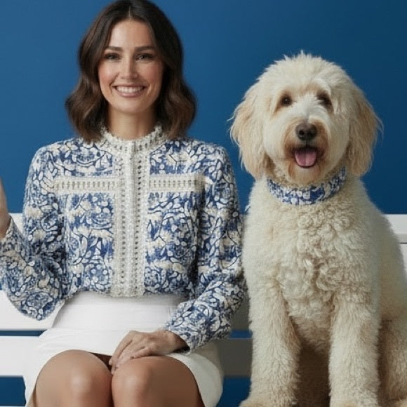 Simple Elegant Blue and White Blouse