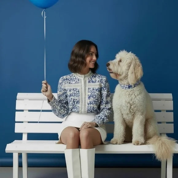 Simple Elegant Blue and White Blouse